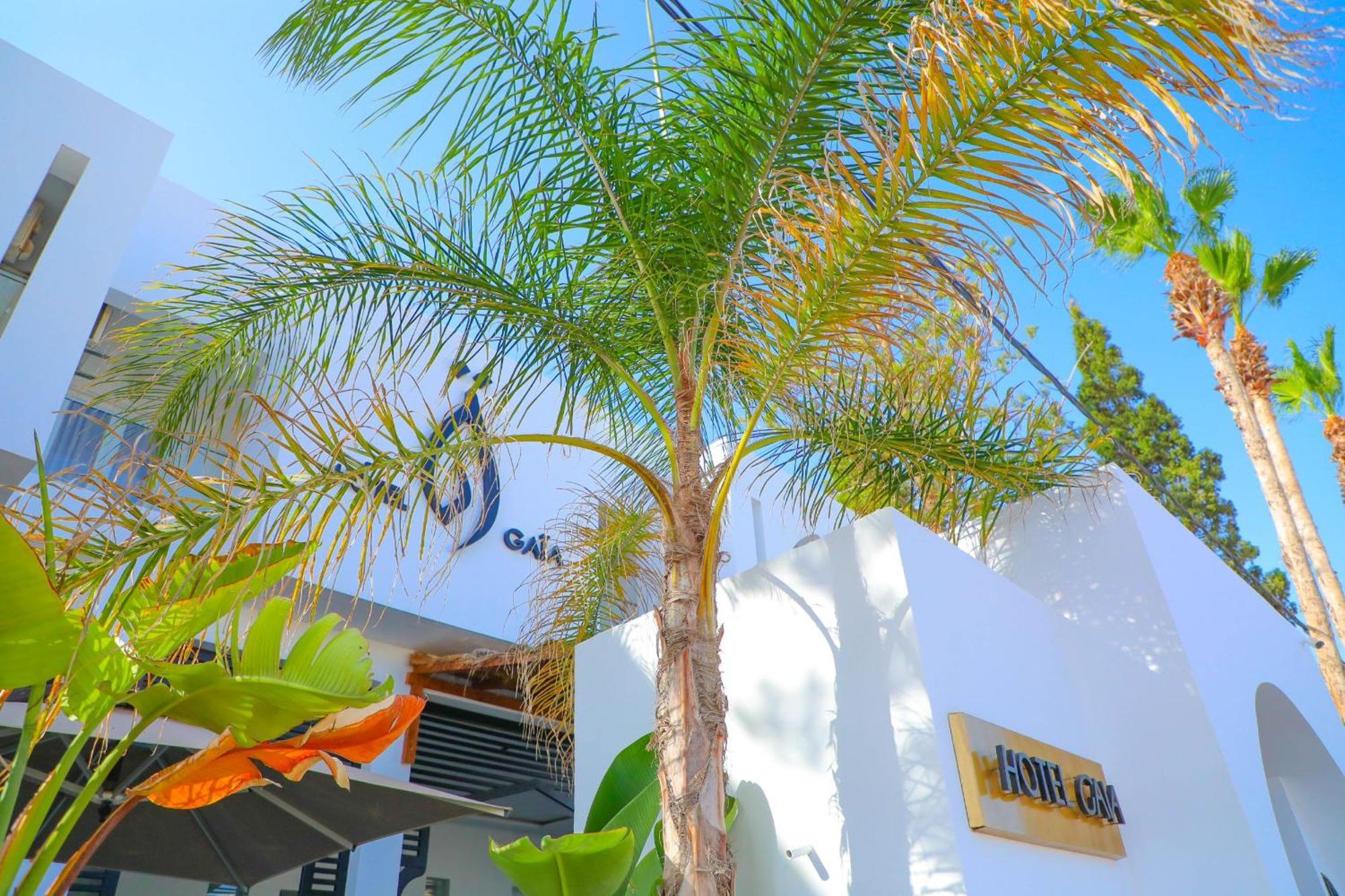 נבאול نزل قايا Hotel Gaia מראה חיצוני תמונה